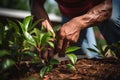 Skilled gardener precisely trimming plants with garden scissors in a lush garden setting