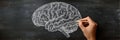 Detailed Hand Drawing of a Brain Diagram in Chalk Style With Space for Text at the Top, Showcasing Scientific Artistry Royalty Free Stock Photo