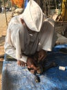 Skilled hands using needal & working on roadside shoe repairer in Kalyan