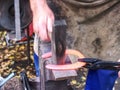 Skilled smith man striking a red hot horseshoe on the anvil