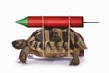 Powering the turtle with the rocket.