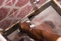 A skilled worker cleaning the bathroom floor with a machine