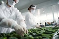 Skilled workers sorting vegetables at a hypermarket