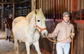 Young female farmer holding reins leading horse through stable Royalty Free Stock Photo