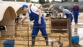 Male farmer taking care of calves at cow farm
