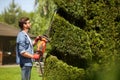 Skillful male gardener with electric hedge trimmer pruning thuja tree in topiary park.