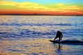 Skim Boarder Royalty Free Stock Photo