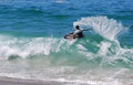 Skimboarder at Aliso Beach, Laguna Beach, CA Royalty Free Stock Photo