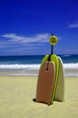 Skimboards on the beach Royalty Free Stock Photo