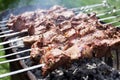 Skimmed meat on skewers with haze