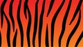skin abstrack tiger pattern vector illustration Royalty Free Stock Photo