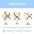 Skin collagen and elastin depletion with age illustration