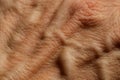 Skin on the back of a hand of a mature person Royalty Free Stock Photo