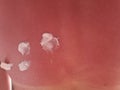 Skin of the back of persons with white cream after sunburn