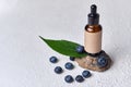 Blueberry ingredients, bottle on stone stand, Organic cosmetics