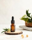Skin care. Moisturizing serum on a wooden stand, green leaves on a light background. There is a place for text