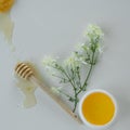 Skin care products with extract of honey and wild flowers. Healthy organic remedy Royalty Free Stock Photo