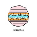 Skin cells color line icon. Microorganisms microbes, bacteria.