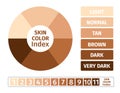Skin color index , infographic . 3 chart of skin