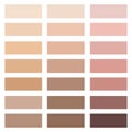 Skin color palette. human skin tones. Vector illustration. Stock image. Royalty Free Stock Photo