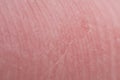 Skin friction ridges on finger as background, macro view Royalty Free Stock Photo