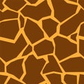 Skin giraffe with natural tracery. Savannah camouflage brown-yellow color of original stripe. Royalty Free Stock Photo