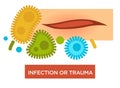 Infection or trauma skin injury scratch and bacteria or germs