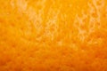 Skin oranges mandarin . texture close up