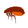 Skin pest flea illustration. Royalty Free Stock Photo