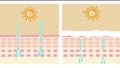 Skin protection from light and uv with before and after graphic animation. Lotions or creams drip onto the skin to increase moistu