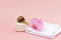 Skin rejuvenation cosmetics on pink background with snail, flower and white towel, snail mucin cream, skin hydration, beauty, spa