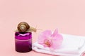 Skin rejuvenation cosmetics on pink background with snail, flower and white towel, snail mucin cream, skin hydration, beauty, spa