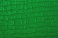 Skin reptile as texture. Green crocodile skin. Snake background