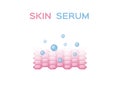 Skin serum vector / collagen and moisturizer / pink grey