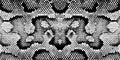 Skin snake texture pattern boa black white