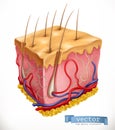 Skin Structure. Medicine. vector icon