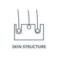 Skin structure vector line icon, linear concept, outline sign, symbol Royalty Free Stock Photo