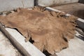 Skin in a tannery in Morocco