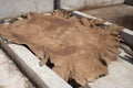 Skin in a tannery in Morocco Royalty Free Stock Photo
