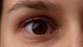 Portrait vision, macro shot of young caucasian woman model face part. Closeup of open eye with brown iris and skin Royalty Free Stock Photo