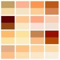 Skin tone color chart. Human skin texture color infographic palette. Facial care design Royalty Free Stock Photo