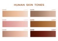 Skin tone color infographic / gradient