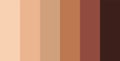 Skin tone color scale chart. Brown palette vector human skin infographic banner icon Royalty Free Stock Photo