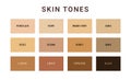 Skin tone color scale chart. Brown palette vector human skin infographic banner icon Royalty Free Stock Photo