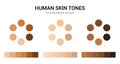 Skin tone color scale chart. Brown palette vector human skin infographic banner icon Royalty Free Stock Photo