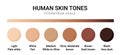 Skin tone color scale chart. Brown palette vector human skin infographic banner icon