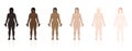 Skin Types Ethnic Colors Female Bodies