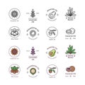 Skincare and beauty organic cosmetics oil vector line and colorful emblems and logos