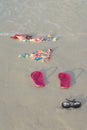 Skinny Dipping Bikini on Beach