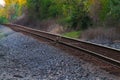 Lonesome Coyote Along Railroad Tracks